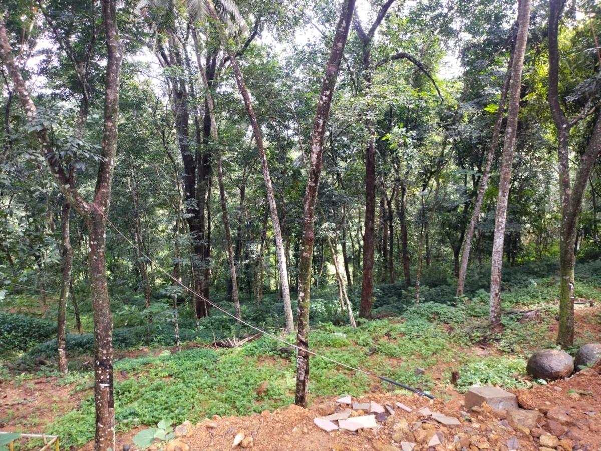 Villa Nature'S Nest Thadiyoor Kozhancheri Exterior foto