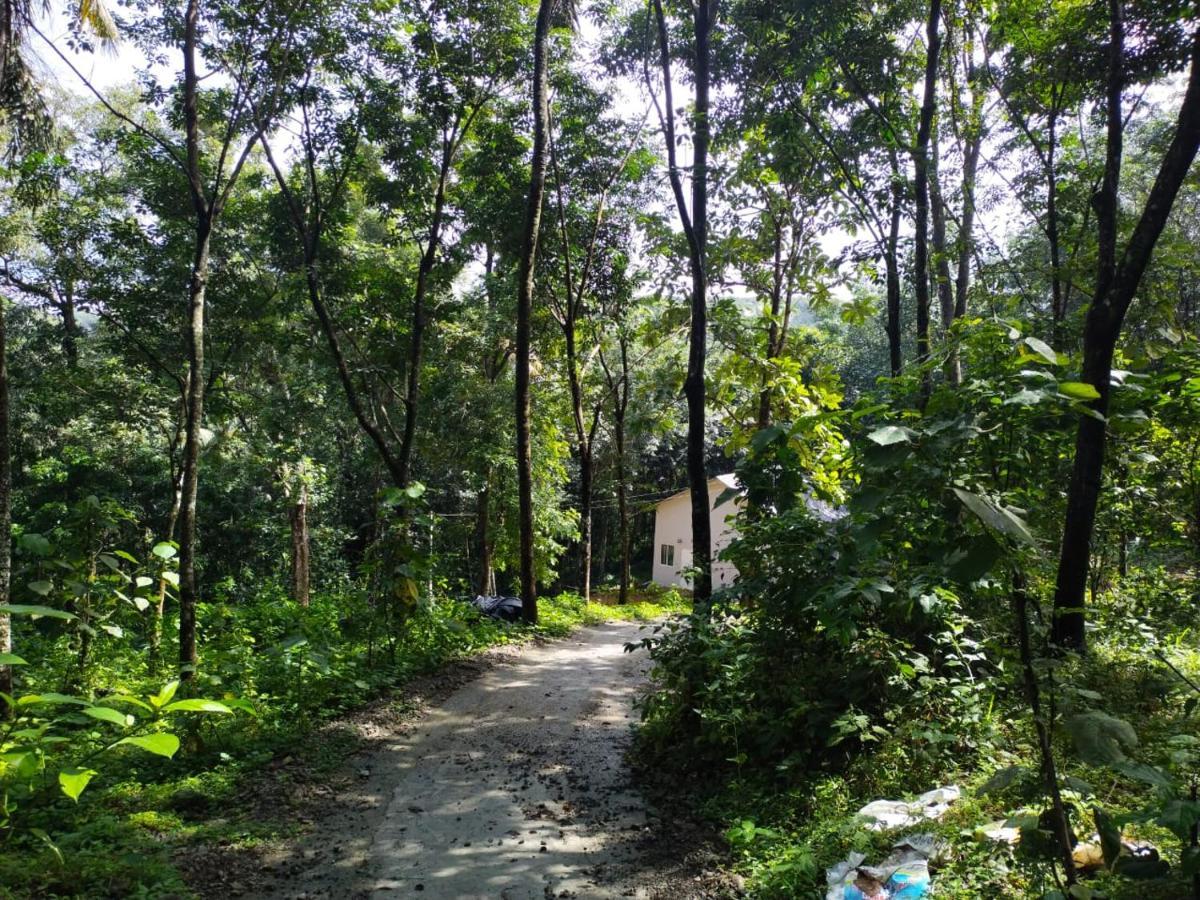 Villa Nature'S Nest Thadiyoor Kozhancheri Exterior foto